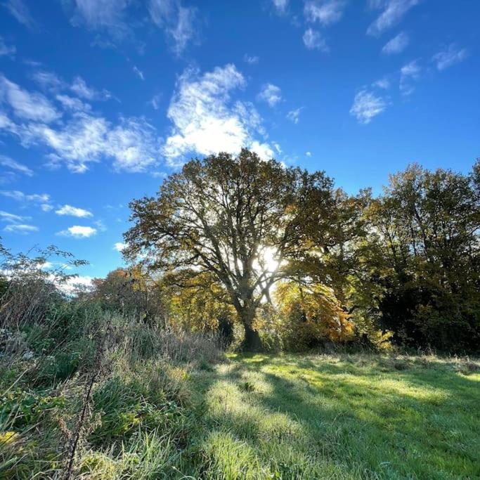 Superbe Maison De Campagne A Deux Pas De Nantes Treillières Exteriér fotografie